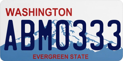 WA license plate ABM0333