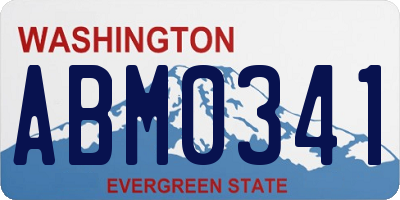 WA license plate ABM0341