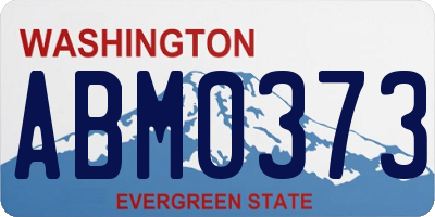 WA license plate ABM0373