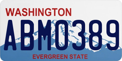 WA license plate ABM0389