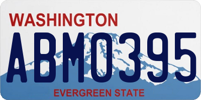 WA license plate ABM0395