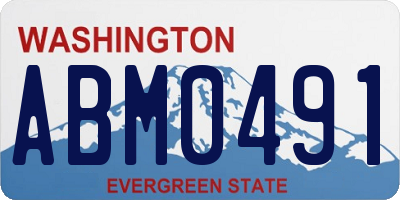 WA license plate ABM0491