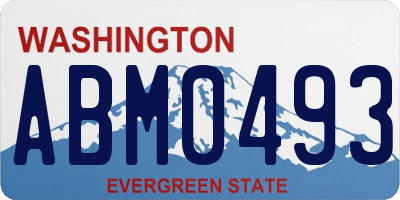 WA license plate ABM0493