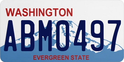 WA license plate ABM0497