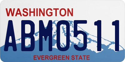 WA license plate ABM0511