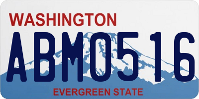 WA license plate ABM0516