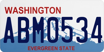 WA license plate ABM0534
