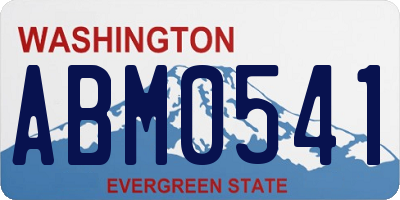 WA license plate ABM0541