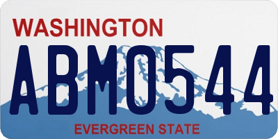 WA license plate ABM0544