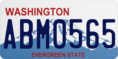 WA license plate ABM0565