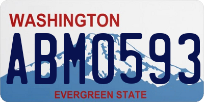 WA license plate ABM0593