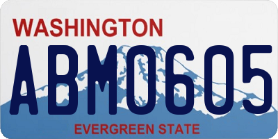 WA license plate ABM0605