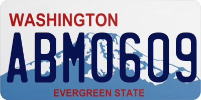 WA license plate ABM0609