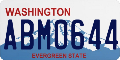 WA license plate ABM0644
