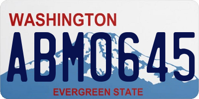 WA license plate ABM0645