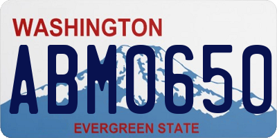 WA license plate ABM0650