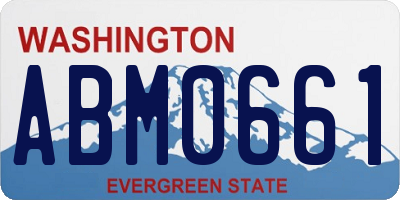 WA license plate ABM0661