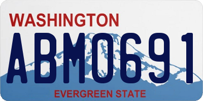 WA license plate ABM0691