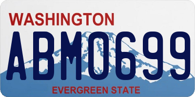 WA license plate ABM0699