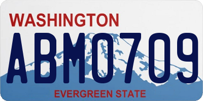 WA license plate ABM0709