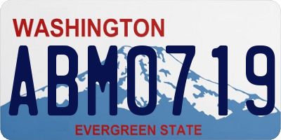 WA license plate ABM0719