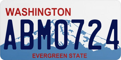 WA license plate ABM0724