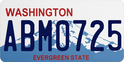 WA license plate ABM0725