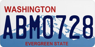 WA license plate ABM0728
