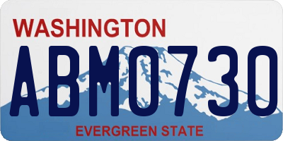 WA license plate ABM0730