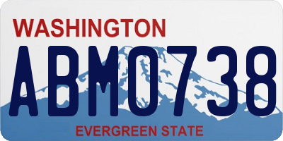 WA license plate ABM0738