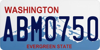 WA license plate ABM0750