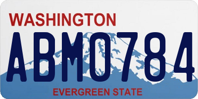 WA license plate ABM0784