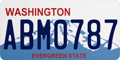 WA license plate ABM0787