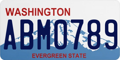 WA license plate ABM0789