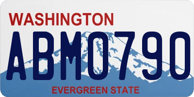 WA license plate ABM0790