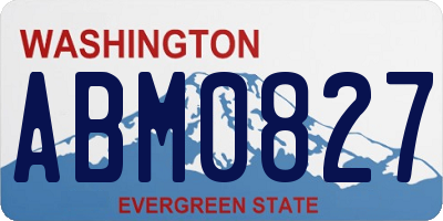 WA license plate ABM0827