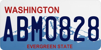 WA license plate ABM0828