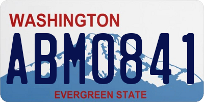 WA license plate ABM0841