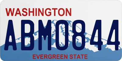 WA license plate ABM0844