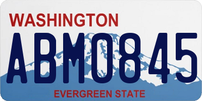 WA license plate ABM0845