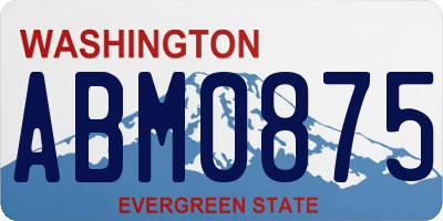 WA license plate ABM0875