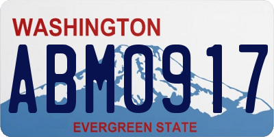 WA license plate ABM0917