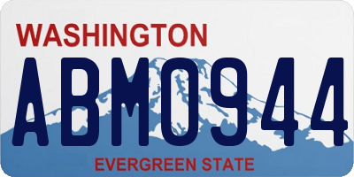 WA license plate ABM0944