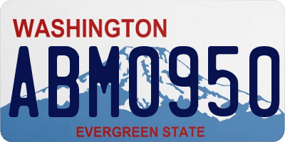 WA license plate ABM0950