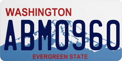 WA license plate ABM0960