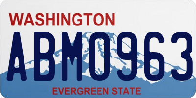 WA license plate ABM0963