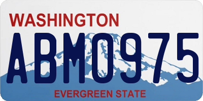 WA license plate ABM0975