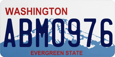 WA license plate ABM0976
