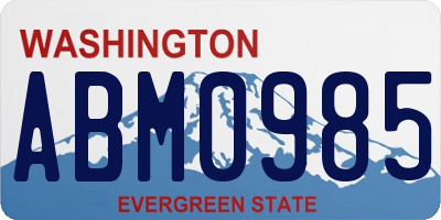 WA license plate ABM0985