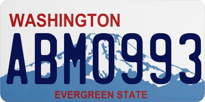 WA license plate ABM0993